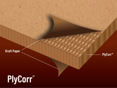 PlyCorr